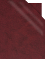 24093 BORDO'  BICOLORE